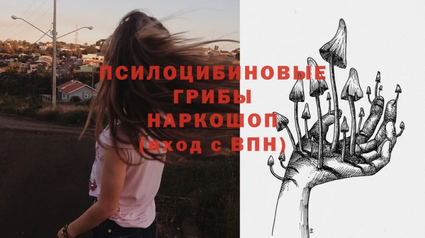 таблы Горнозаводск