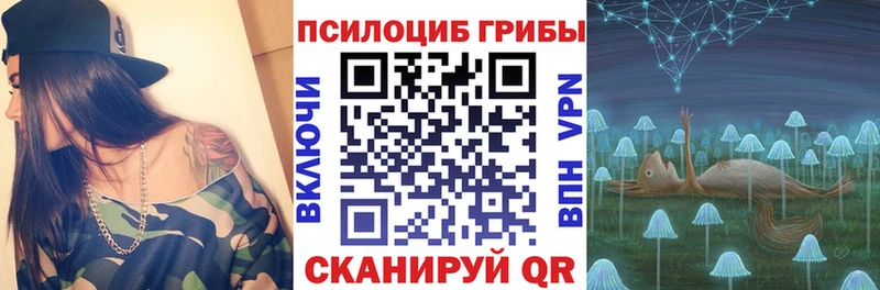 Купить где  Бахчисарай  Псилоцибиновые грибы Psilocybe 